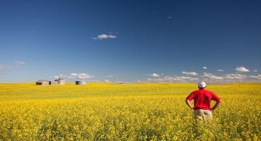 Canadian Agriculture Hall of Fame 2024 inductees named