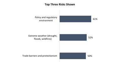 Farmers Pessimistic about Government Providing Help to Bolster Ag