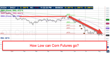 How Low can Corn Futures go?