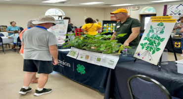 MU Extension Highlights Education, Innovation at Award-Winning Soybean Festival