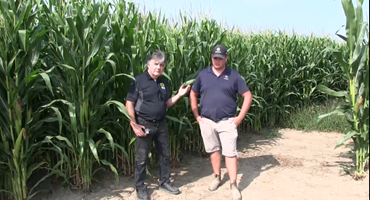 Early predictions from Great Ontario Yield Tour suggest a good year