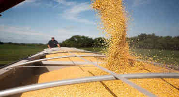 Corn’s Economic Contribution Highlighted