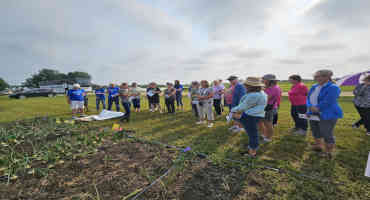 SDSU Extension  to Host 4th Annual Specialty Crop Field Day