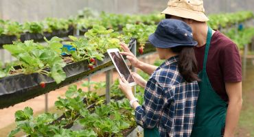 Agri-Tech innovation gets $22.6M boost in Ontario