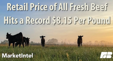 Beef Prices Soar to Record Highs, Yet Farmers Struggle to Reap the Benefits