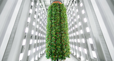 Plenty opens world-first vertical berry farm