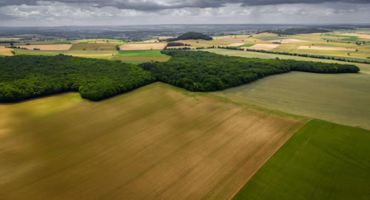 5.5% values rise in Canadian farmland - FCC Report