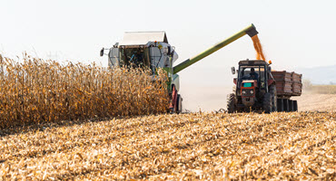 National U.S. corn harvest reaching midway point