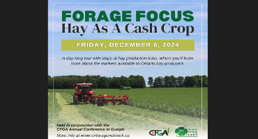 Forage Focus 2024 takes place on December 6