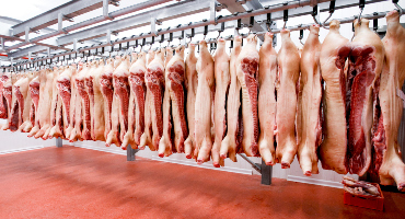 RaboResearch releases the latest global pork market report