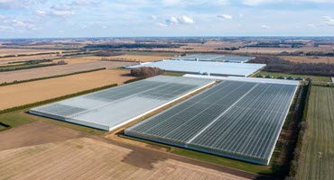 Mucci farms adds 150 acres of greenhouse production