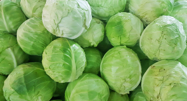 The case of the mysterious cabbage dump