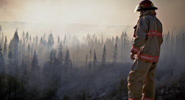 Wildfire smoke now threatens public health worldwide