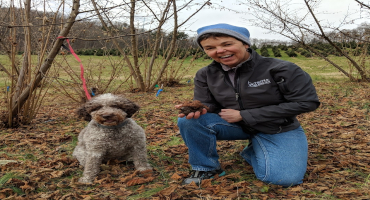 Dogs discover New Truffle species with the help of  MSU researchers