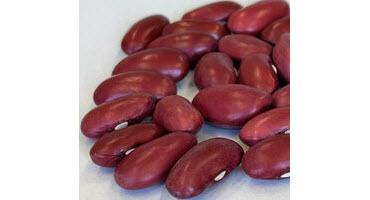 Dynasty kidney bean wins U of G Innovation of the Year award