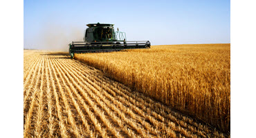 Canadian Grain Commission issues multiple licenses