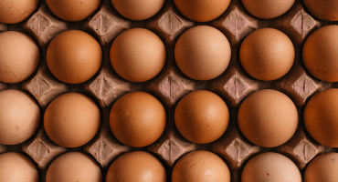 Canadian tech leads the way for egg gender testing