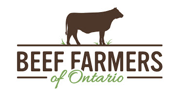 Beef Farmers of Ontario asking members to support checkoff increase