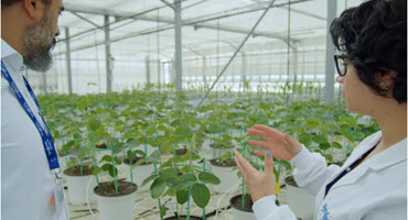 Syngenta Boosts Biologicals Research with Key Investments