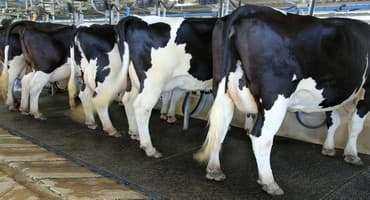 Dairy Farmers of Ontario and OMHA announce 2022 bursary winners