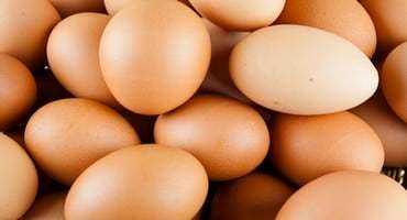 The Truth Behind Eggcessively Expensive Eggs