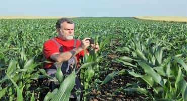 Ag Month an opportunity to celebrate an important industry