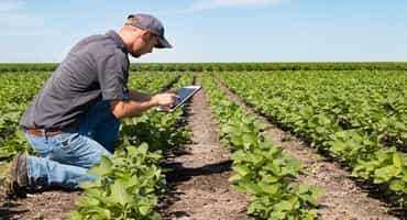 Data is key to the future of Canadian ag
