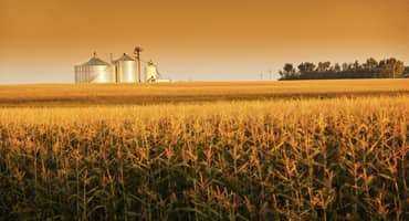 Sharper Rise for 2021 Canadian Net Farm Income