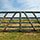 Beginners guide to PIG PENS | STRONG, LONG LASTING!!