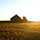 Bumper Crops: Managing Fungicide & Nutrients on Early Season Alfalfa