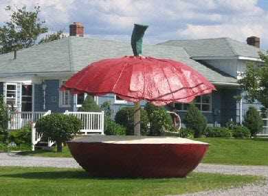 Apple Stand