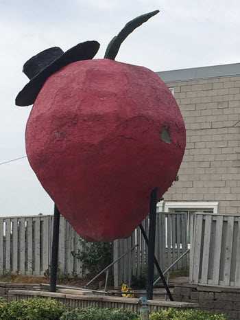 Strawberry