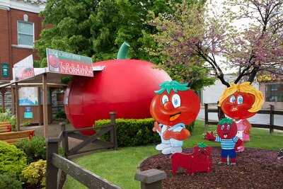Tomato Booth