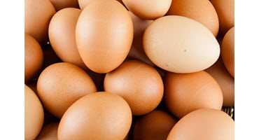 Egg