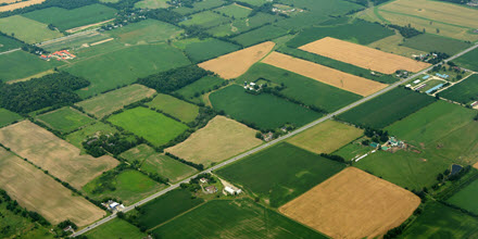 1. Ontario's farmland values and rental rates