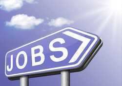 There are no jobs in agriculture