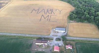 Field Art