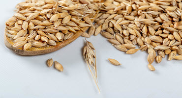 Oat