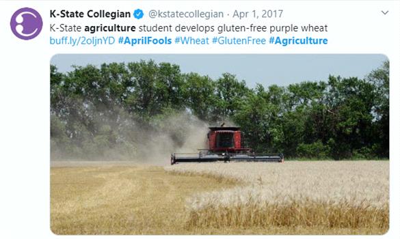 Gluten-free purple wheat – April 1, 2017