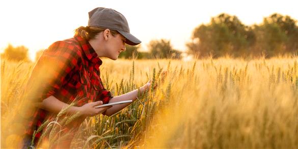 6) KAP calls for updates to crop plan credit