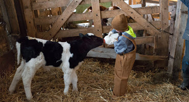4) Families coming together on Ont. farms