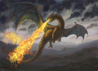 Dragon