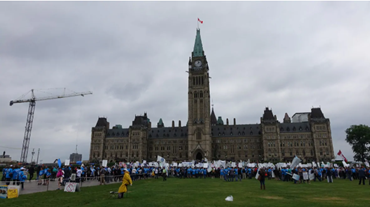 Canadian Dairy Farmers - Trade Agreements