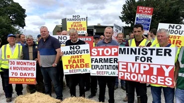 Irish Farmers - Beef Prices