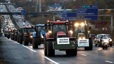 French Farmers - Policies