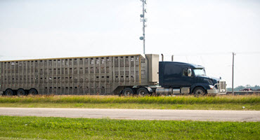 3) Counter-protests support truck drivers