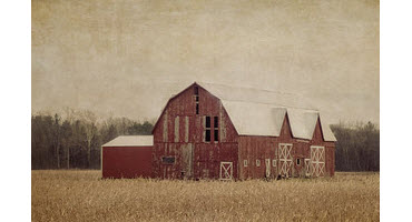 4) Preserving Ontario''s barns