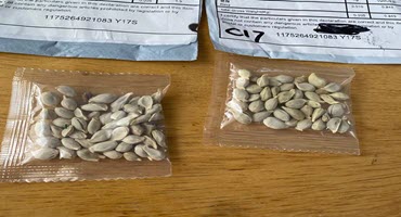 1) USDA identified mystery seeds
