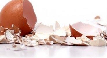 Eggshells