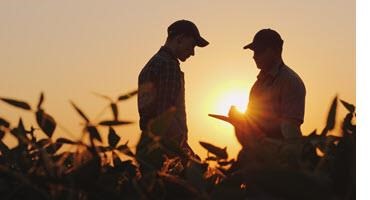 Farmers talking